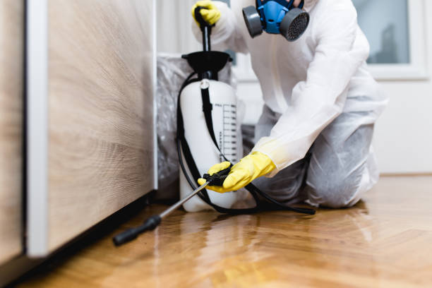 Best Pest Control for Restaurants  in Strasburg, CO
