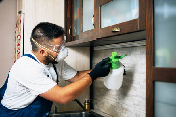 Best Pest Prevention Services  in Strasburg, CO