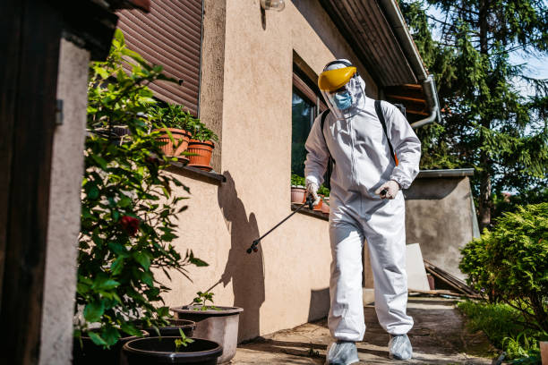 Best Flea Control Services  in Strasburg, CO