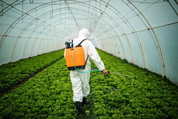Best Local Pest Control Services  in Strasburg, CO