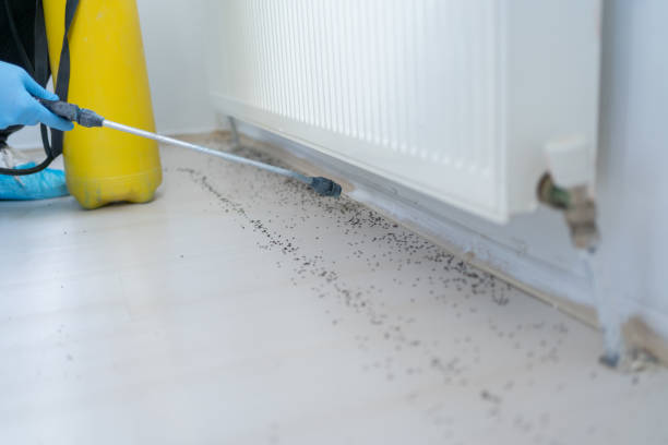 Best Pest Control Near Me  in Strasburg, CO