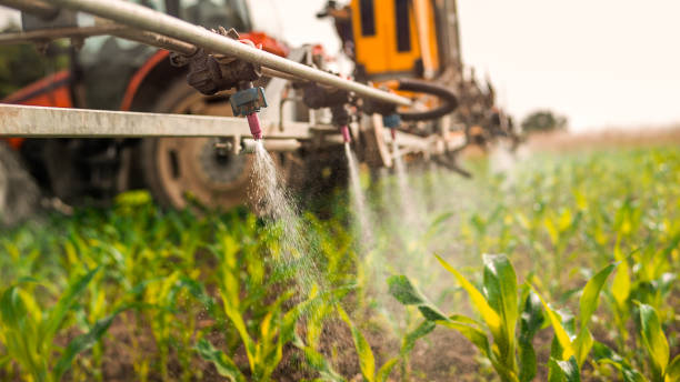 Best Pest Removal Services  in Strasburg, CO