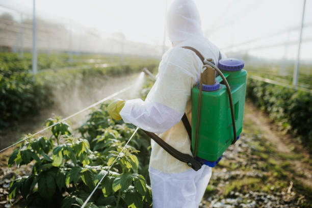 Best Commercial Pest Control Services  in Strasburg, CO
